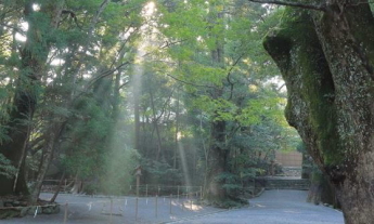 伊勢神宮,外宮,内宮,伊勢神宮正しいまわり方.伊勢神宮参拝作法,伊勢神宮参拝方法,伊勢神宮片参り
