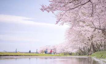 伊勢神宮,外宮,内宮,伊勢神宮正しいまわり方.伊勢神宮参拝作法,伊勢神宮参拝方法,伊勢神宮片参り