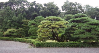伊勢神宮,荒祭宮,内宮,伊勢神宮神楽殿.風日祈宮,正式参拝,御神楽奉納