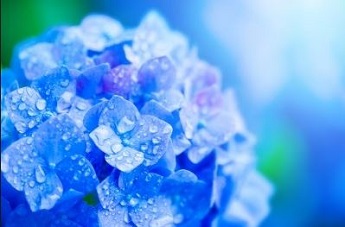 幸せな生き方,人生の幸せな道,幸せになるための秘訣,幸運な道を選んで生きる,幸運体質を作る,幸せになるための方法
