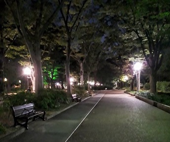 銀河令,幸せな生き方,人生の幸せな道,幸せになるための秘訣,幸運な道を選んで生きる,幸運体質を作る,幸せになるための方法